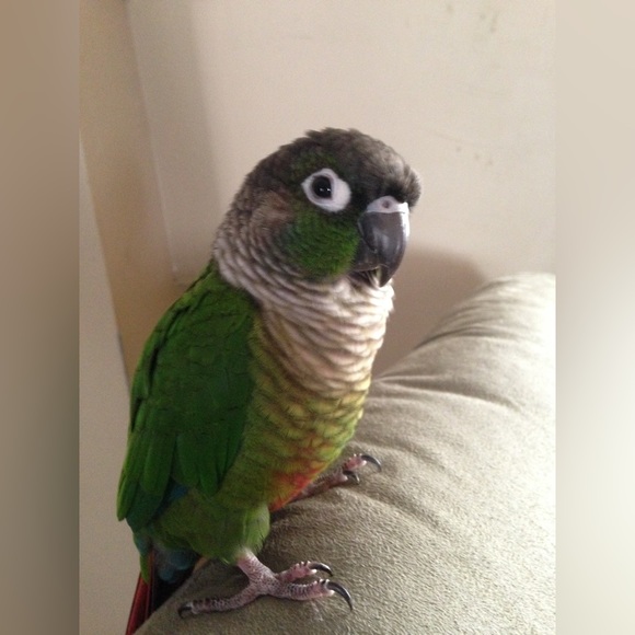 WELCOME to my closet! About me: - Picture 8 of 15